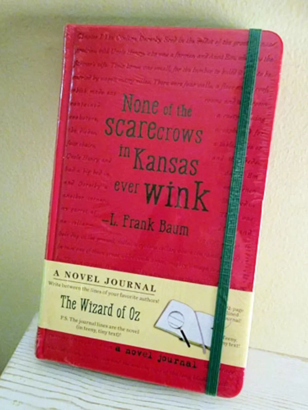 Wizard of Oz Novel Journal Tiny Text Forms Writing Lines For You Wicked NEW OOP